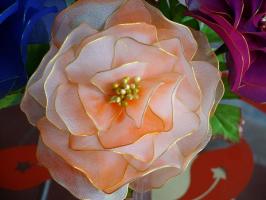 Yarn-Dyed Silk Fabric Chinese Rose